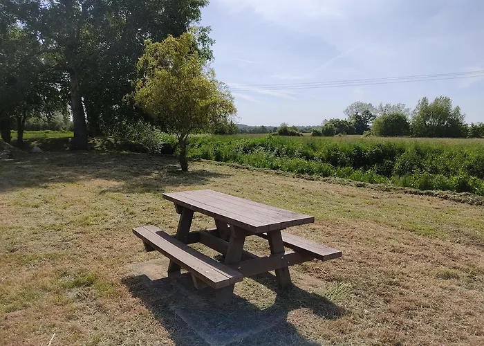 La Bergeronnette