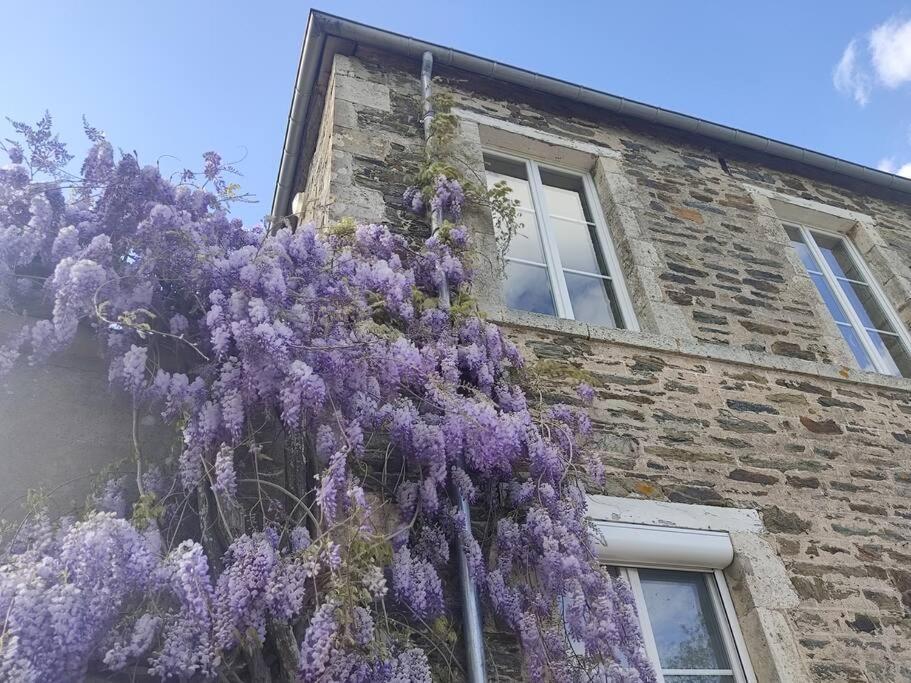 Appartement La Bergeronnette Le Hommet-d'Arthenay